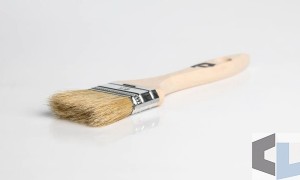 Pędzel angielski 